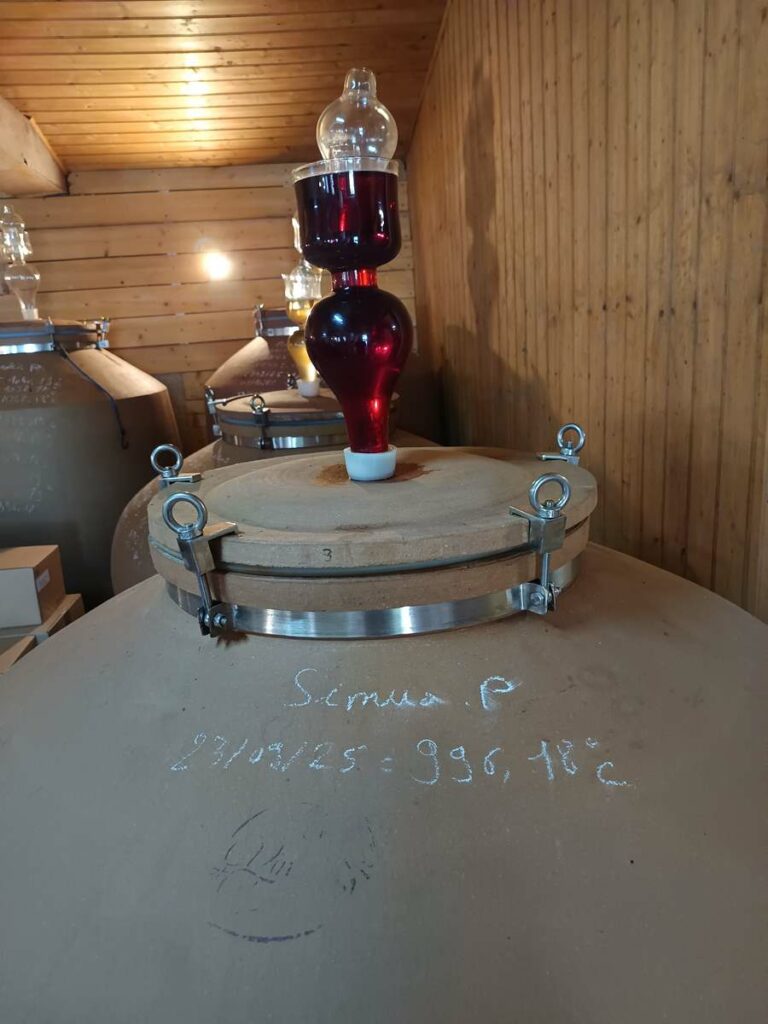 Pineau d'Aunis Sinua amphore saumur L'arbre à Bouteilles quartier Toutes Joies Bastille Monselet Procé Guist'Hau