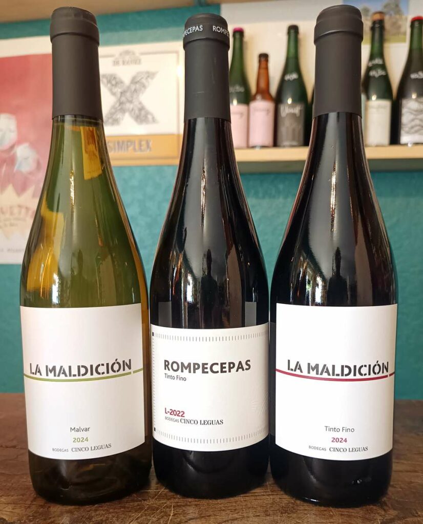 vin naturels Espagne Cinco Leguas L'Arbre à Bouteilles proche Bastille Guist'Hau Monselet Toutes Joies Procé Nantes