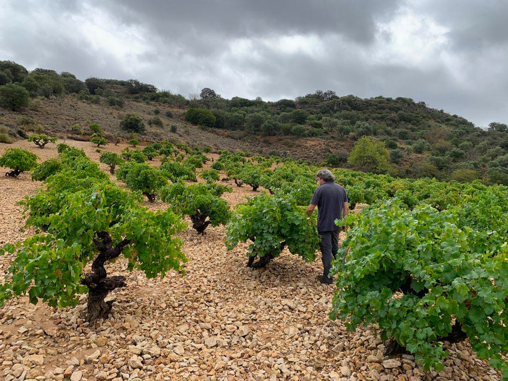 vins naturels Espagne Marc Isart vignes cave à vins Nantes quartier Toutes Joies Procé Monselet Bastille Guist'Hau